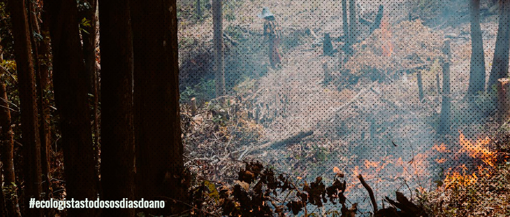 INCÊNDIOS - A QUESTÃO DE FUNDO…